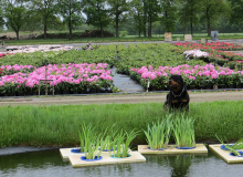 biologisch funktionierende Wasserbereitungsanlage