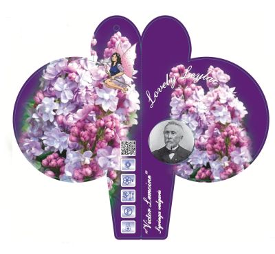 klapp-p-etikett victor lemoine